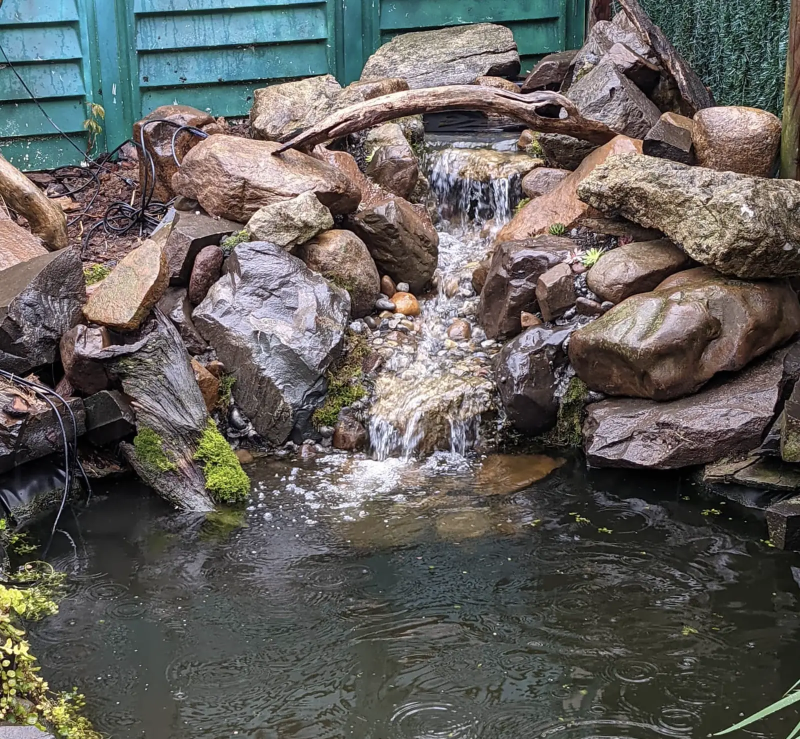 Backyard waterfall with wet boulders and a driftwood arch flowing into a small pond in the rain