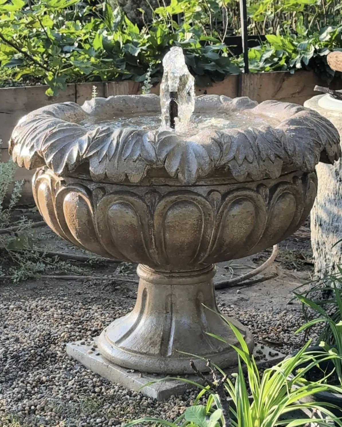 Carved cast stone urn fountain with a single bubbler jet surrounded by green plantings