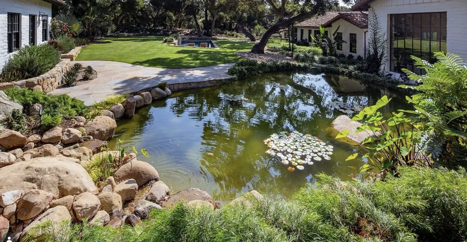 Large natural pond with stone edging, lily pads, and lush plantings beside a white brick home